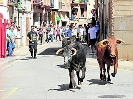 Las sueltas de reses bravas por las calles del barrio del Burgo son de los actos más populares en estos días.