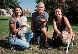 María González sostiene a Lola, gata de 18 años, Manolo González muestra a Tortu, tortuga de 24 años; y Leticia Carranza posa con Rita, perra de 15 años, en el barrio La Cava-Fardachón de Logroño.