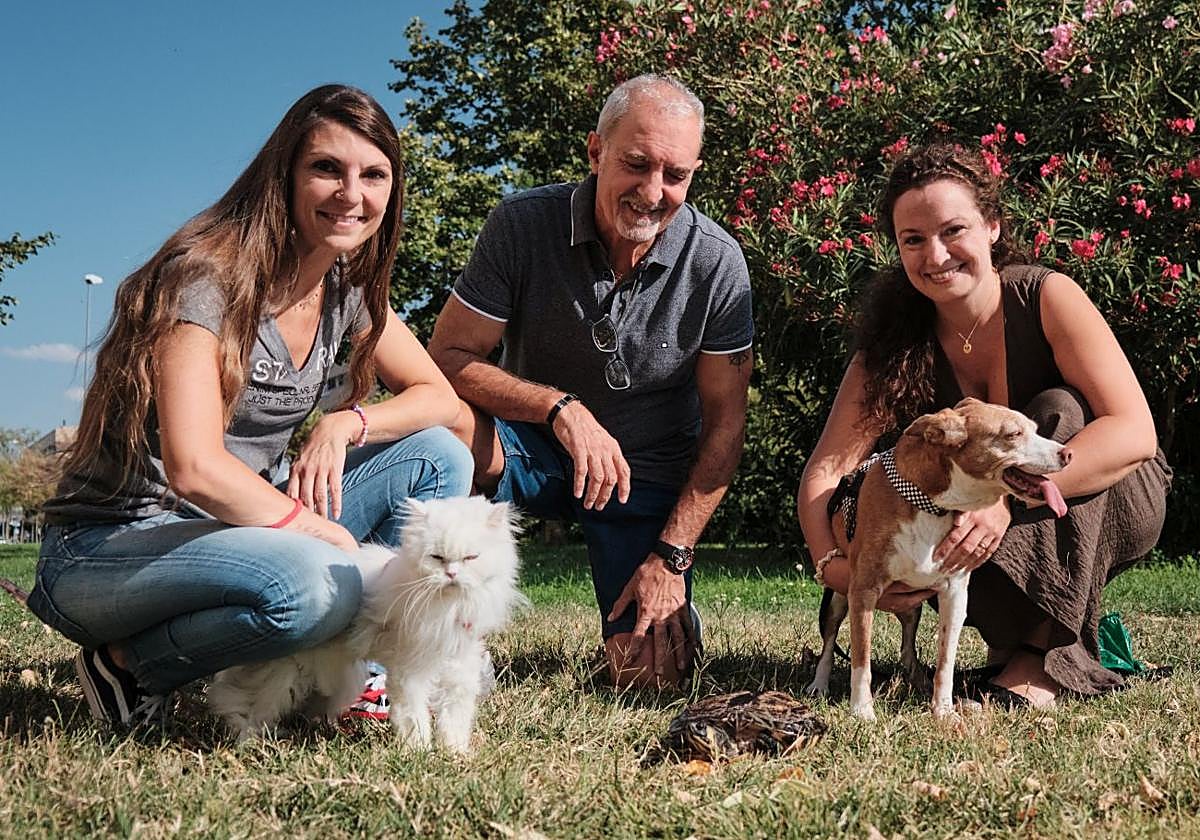 María González posa con la gata Lola, Manolo González con la tortuga Tortu y Leticia Carranza con la perra Rita.