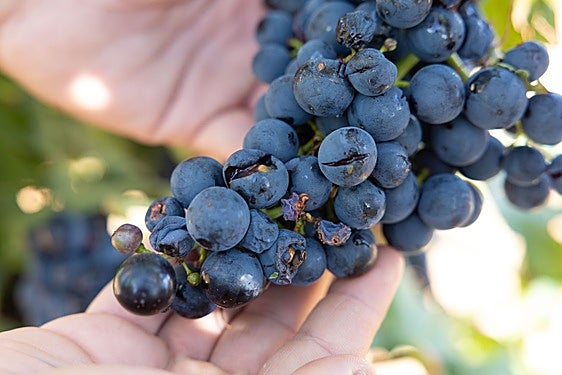 Las noticias del día