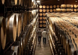 Espectacular nave de barricas en Piérola.