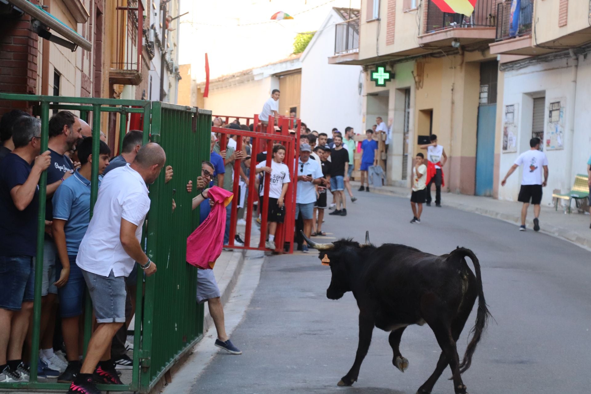 Las fiestas de Alfaro, en imágenes