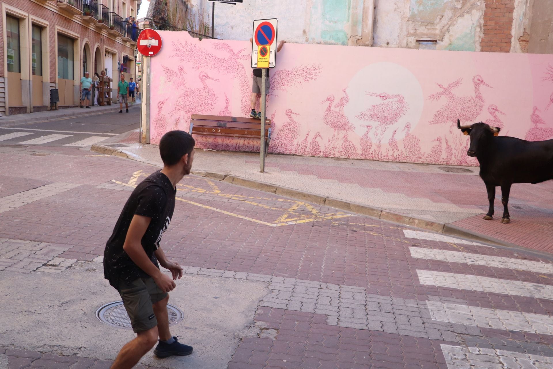 Las fiestas de Alfaro, en imágenes