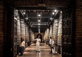 Un grupo de turistas, durante una visita a las instalaciones de Bodegas Franco-Españolas.