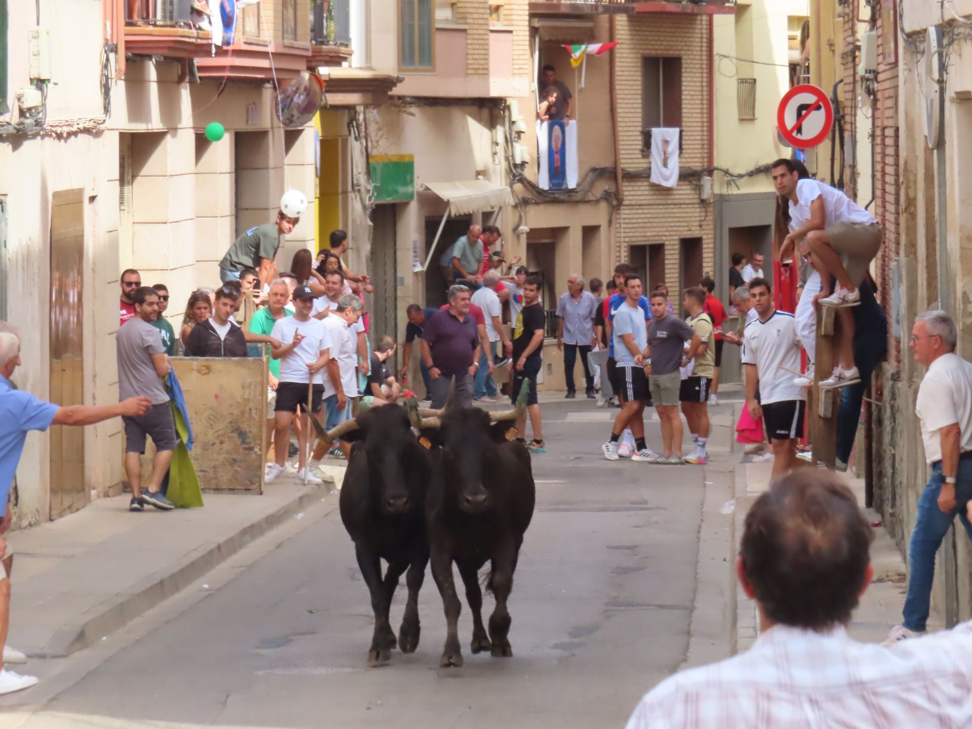 Alfaro celebra a la Virgen del Burgo