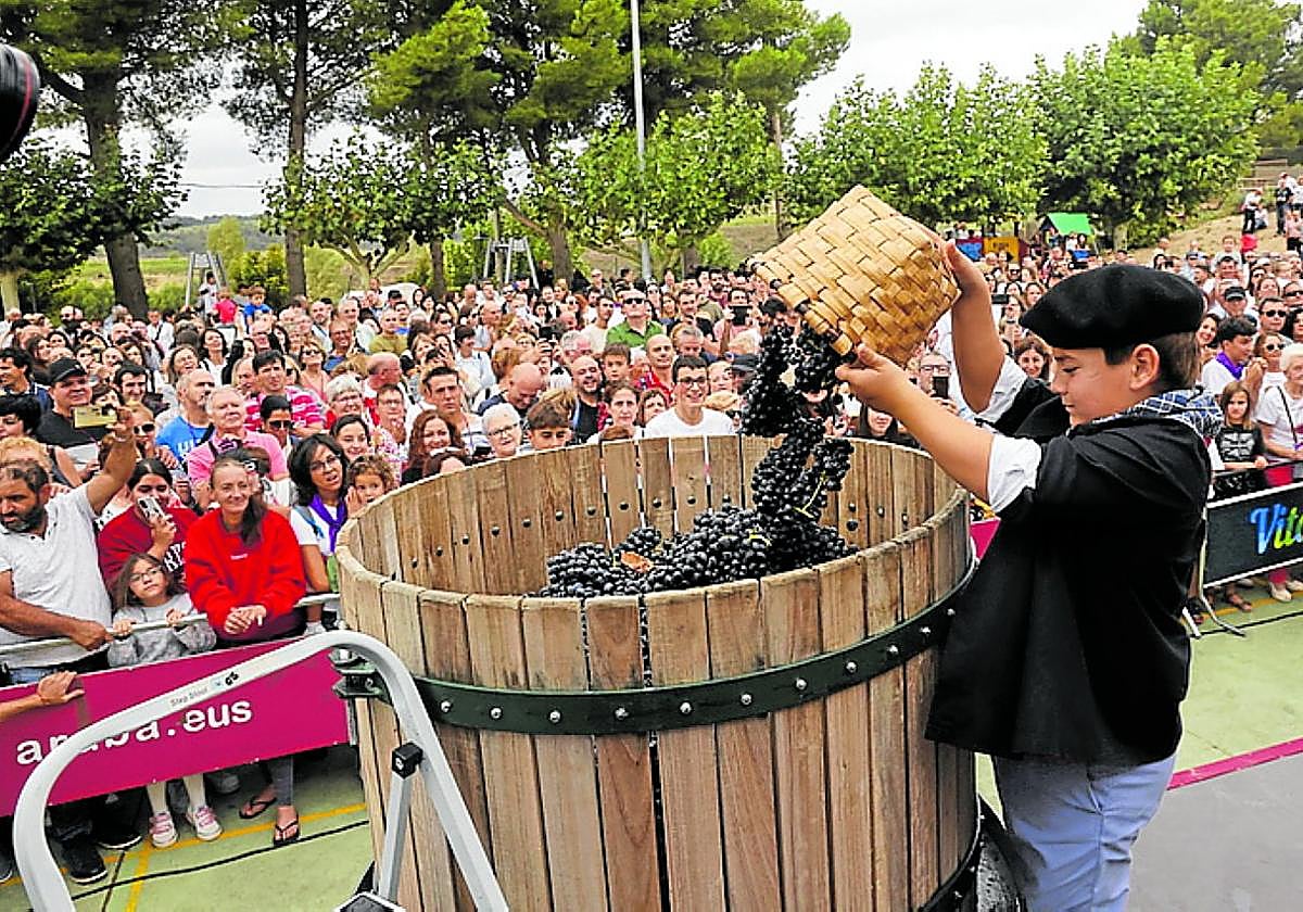 Un niño echa la uva para su posterior pisado en la Fiesta de la Vendimia.