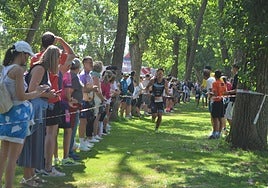 Público, en una de las pruebas del campeonato en el parque del Cidacos.
