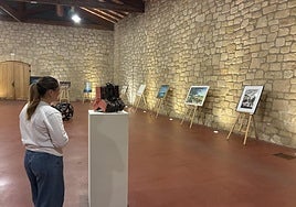 Una chica observa la exposición colectiva Hermanamiento Artistas Jarreros y Jerezanos en Muga.