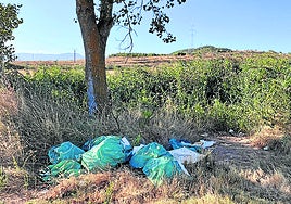 Petardos, el velo, estorninos y suciedad, en el Teléfono del Lector de hoy