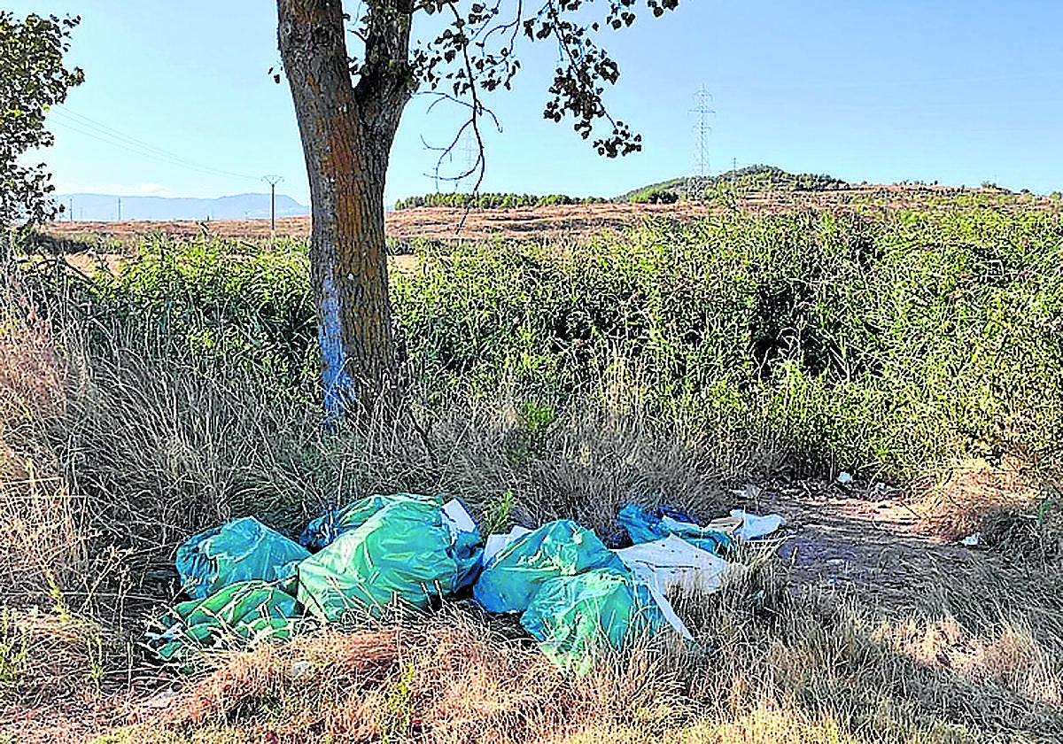 Petardos, el velo, estorninos y suciedad, en el Teléfono del Lector de hoy