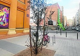 La tarifa de basuras, las terrazas, el velo... los temas de hoy en el Teléfono del Lector