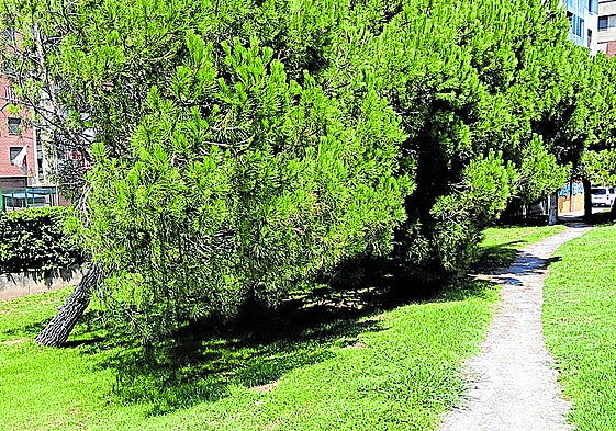 Impuestos, jardines, soterramiento, suciedad... los temas de hoy en el Teléfono de Lector