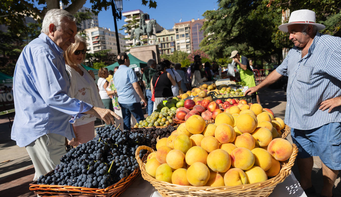 Las imágenes del Concurso Agrícola de La Rioja