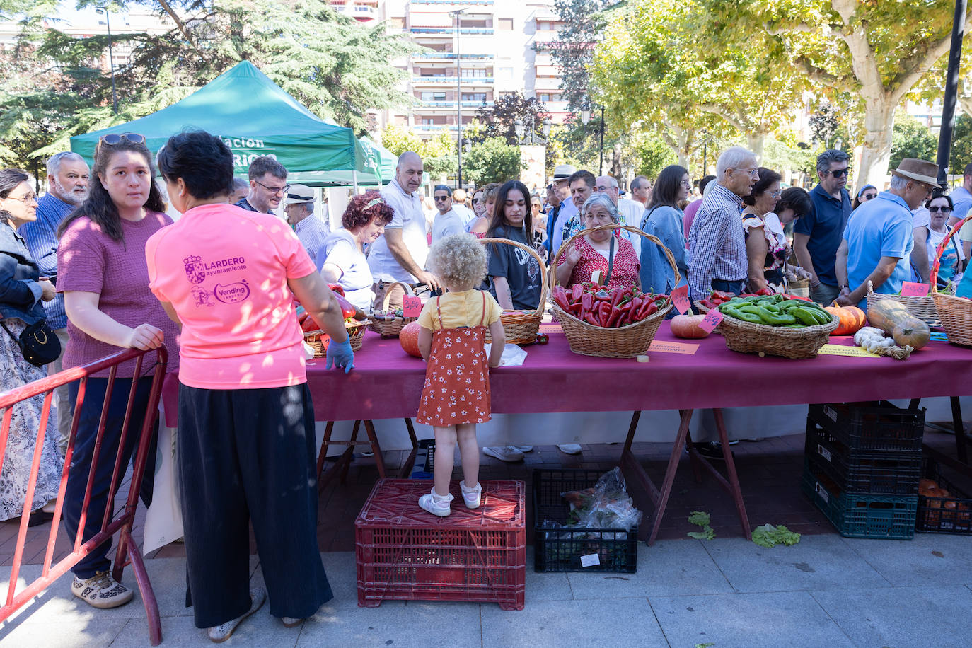 Las imágenes del Concurso Agrícola de La Rioja