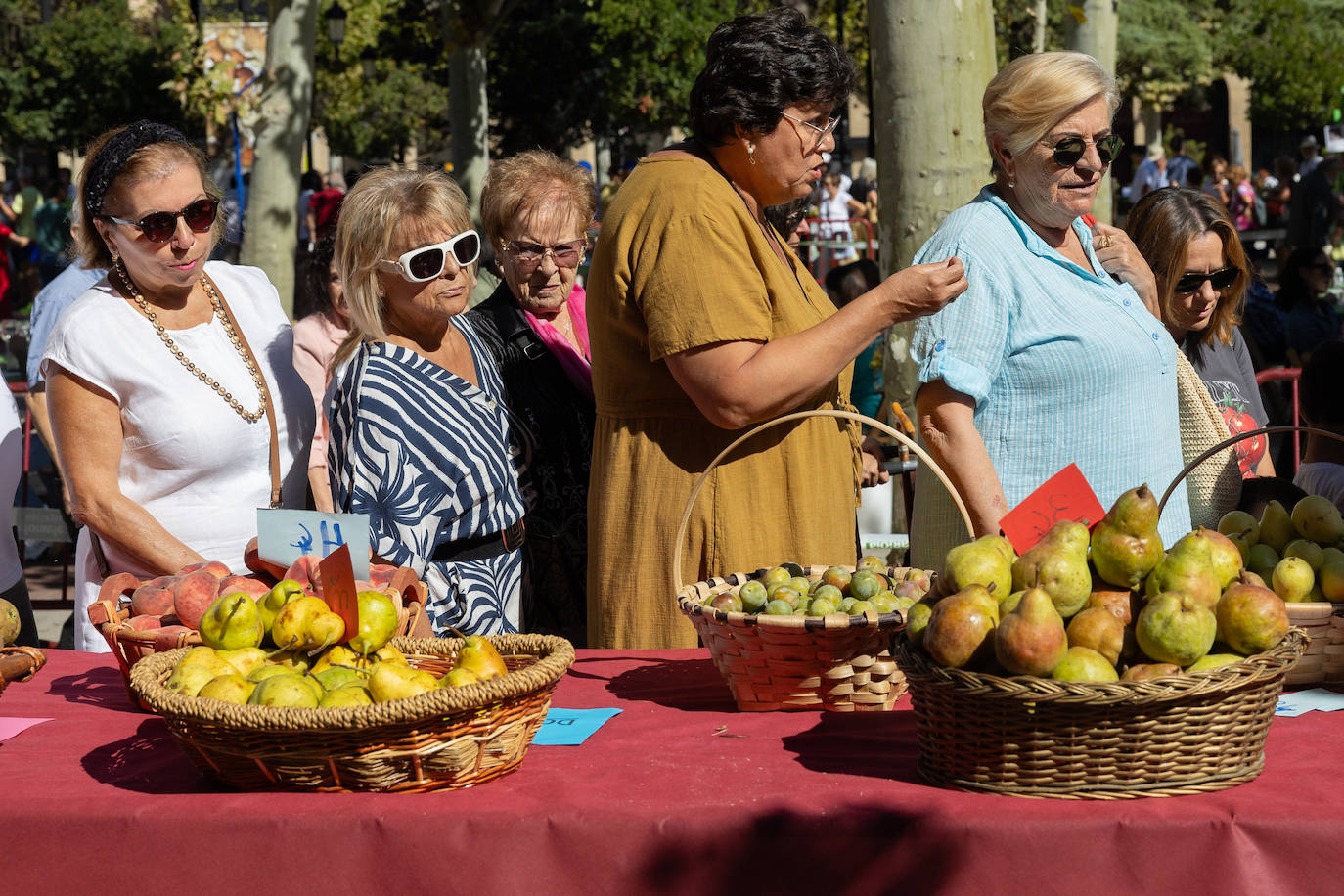 Las imágenes del Concurso Agrícola de La Rioja