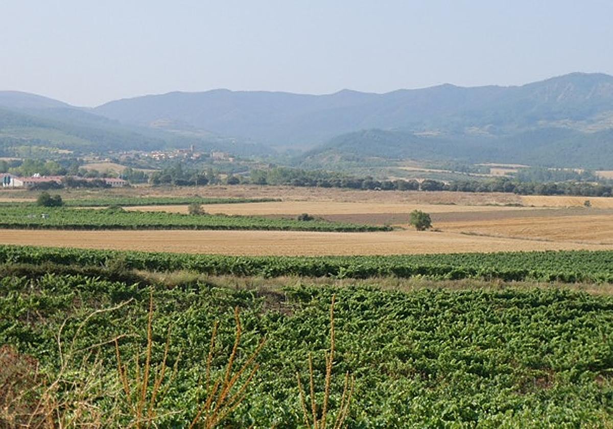 Amigos de la Tierra denuncia el «grave impacto» de una planta de hormigón de 288.000 m² en Manjarrés