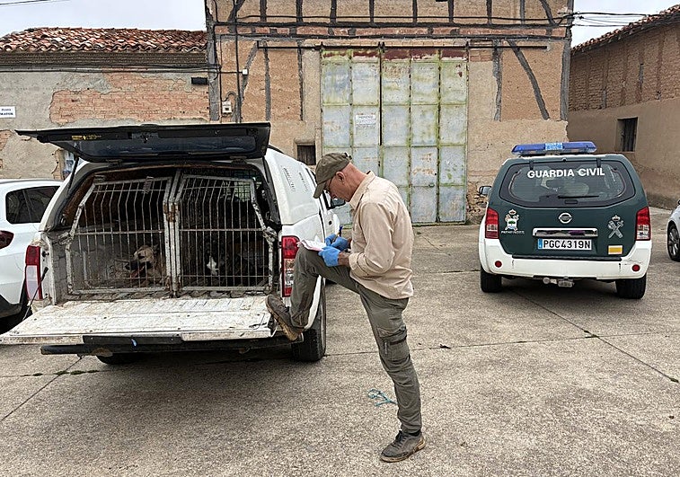 Rescatados dos perros en Morales junto al cadáver de otro