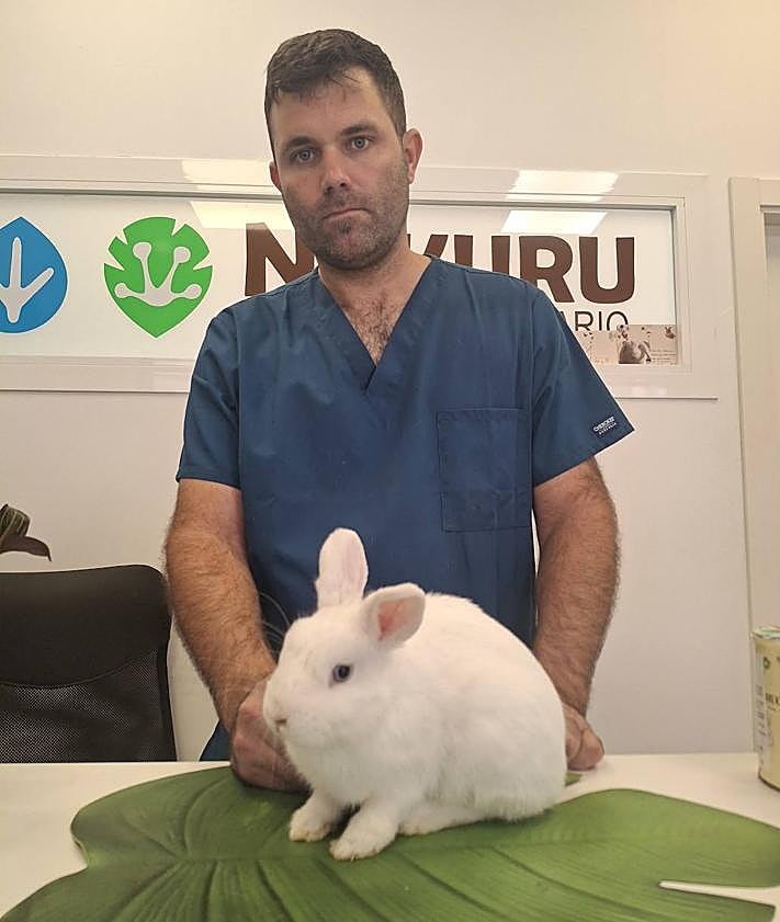 Imagen secundaria 2 - Abandonan a una coneja doméstica en un descampado de Logroño