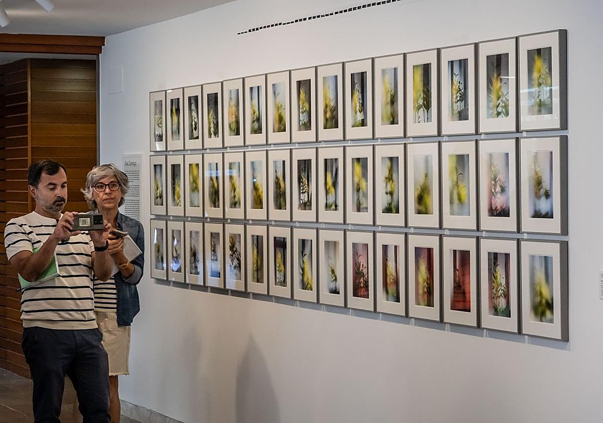 Imagen principal - Detalles de las propuestas de Iñaki Domingo, Alfonso da Silva y Andrea Costas.