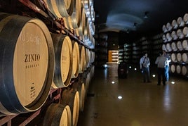 Sala de barricas de la bodega.