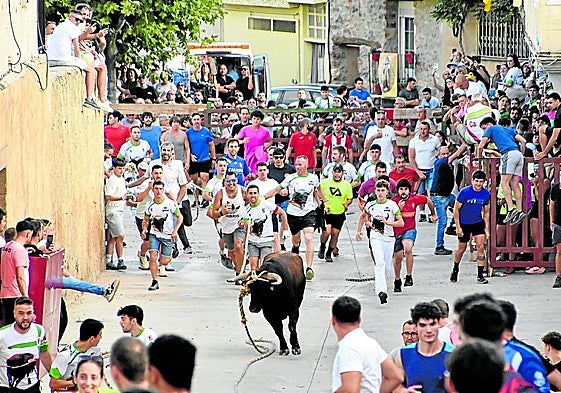 Salida del primer astado ensogado de la plaza de la iglesia, ayer en Cabretón.