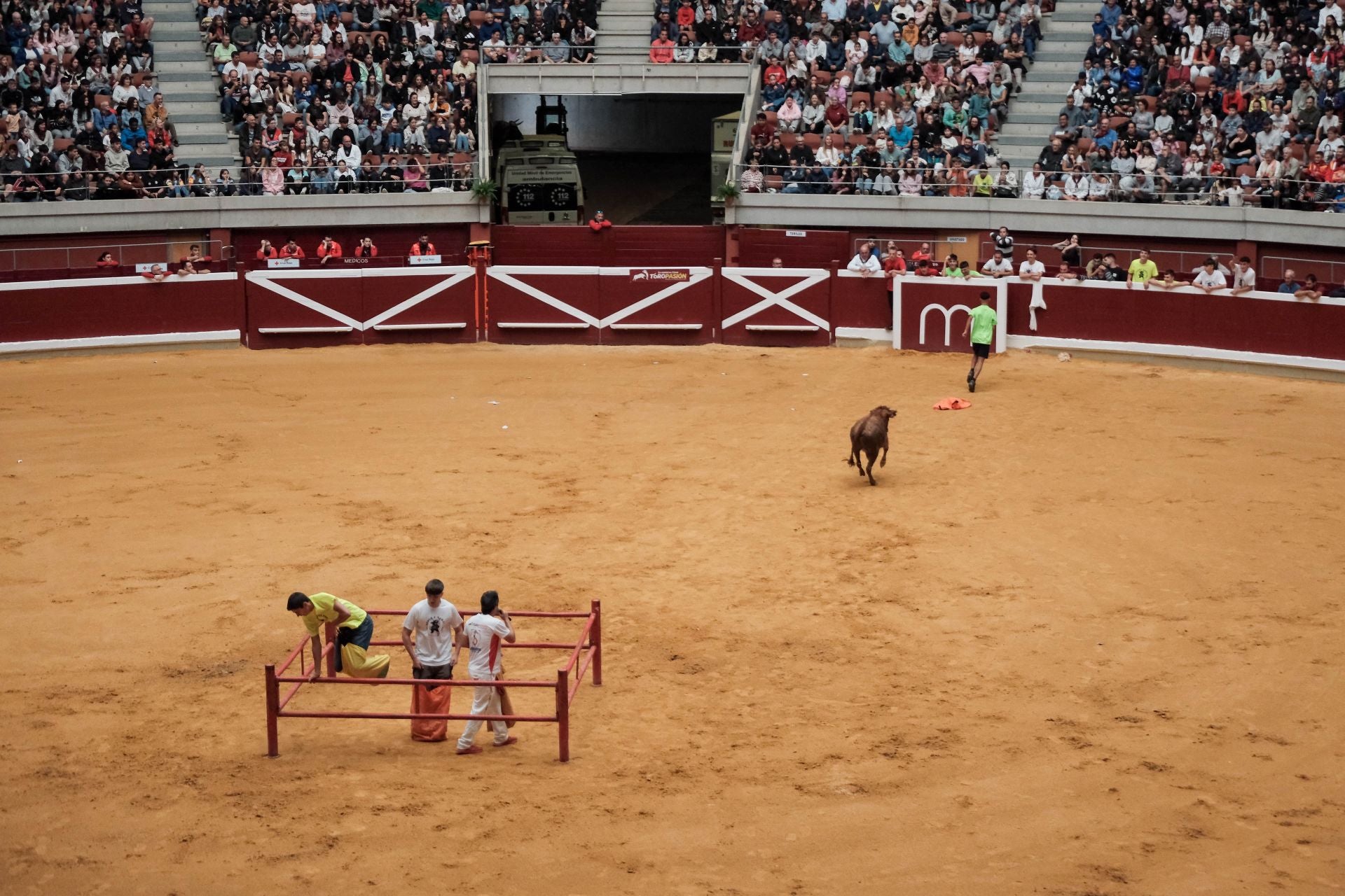 Las imágenes de las primeras vaquillas