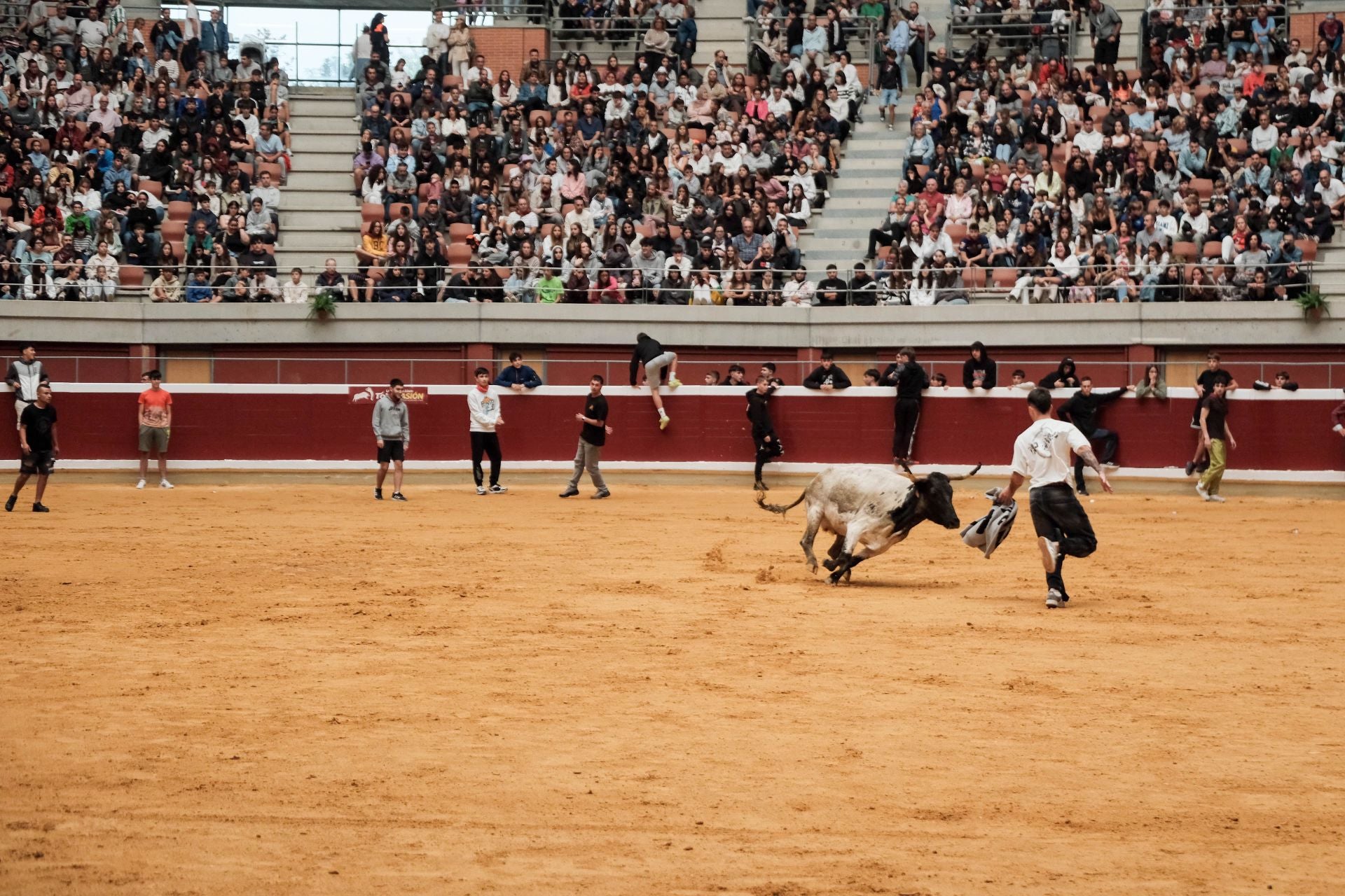 Las imágenes de las primeras vaquillas