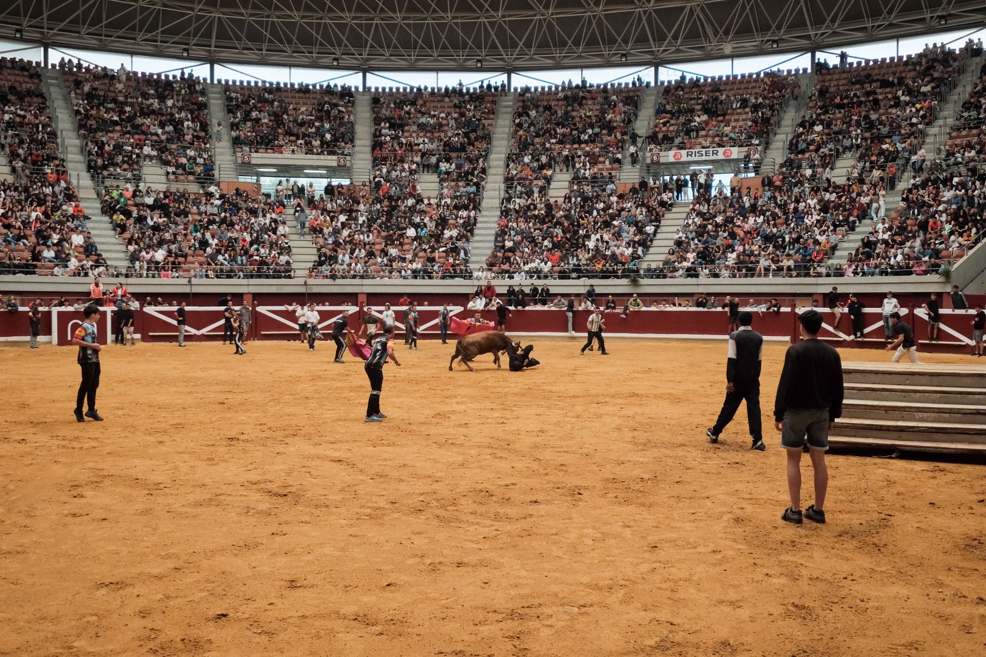 Las imágenes de las primeras vaquillas