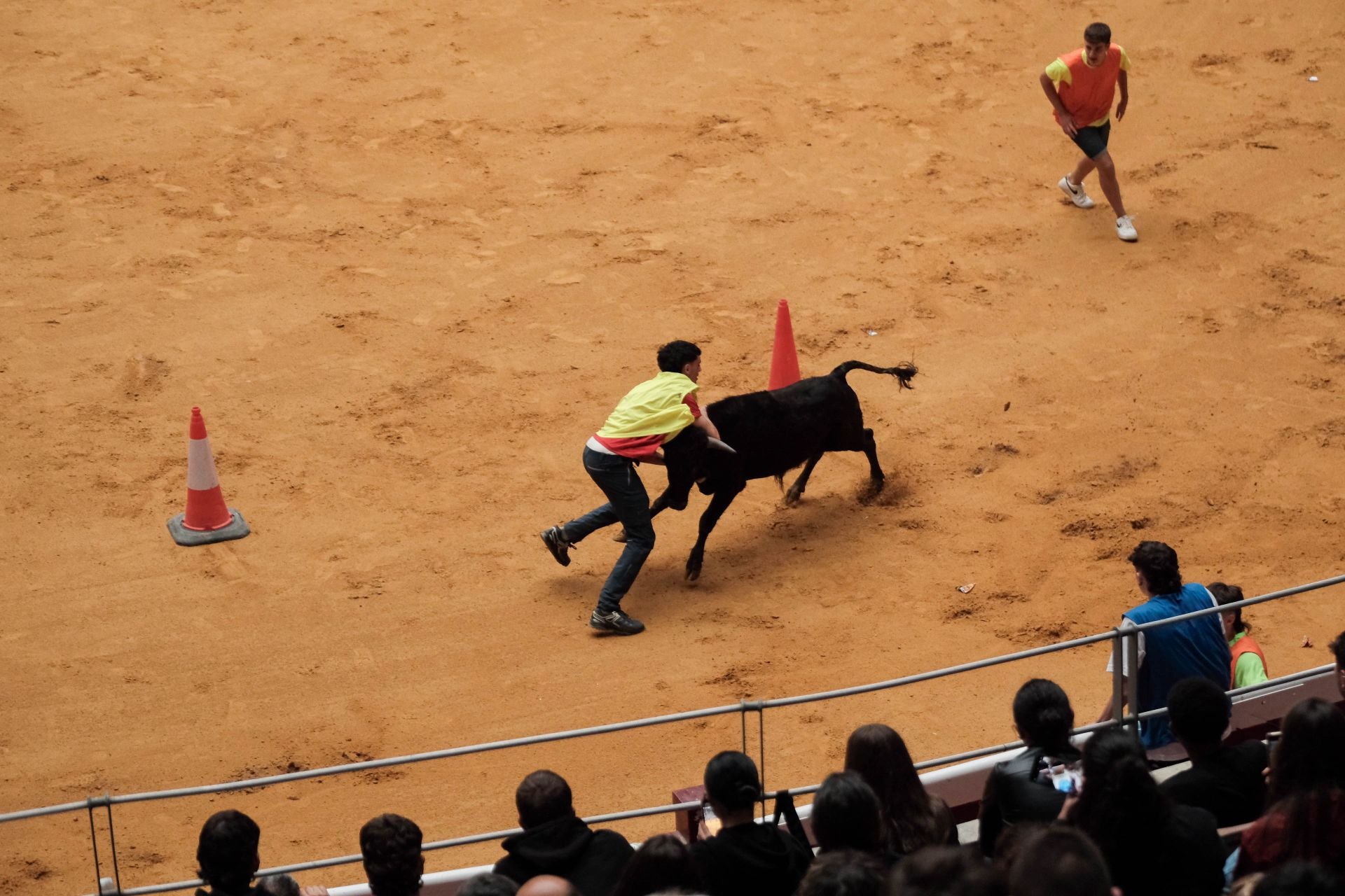 Las imágenes de las primeras vaquillas