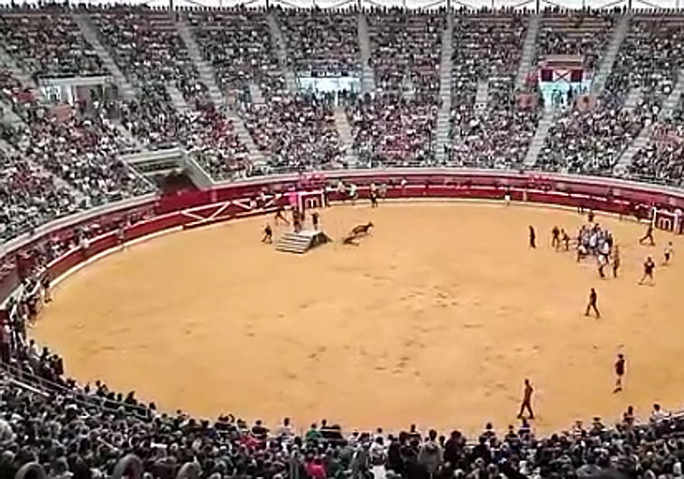 Trasladado a Vitoria un joven con fractura craneal tras participar en las vaquillas del domingo
