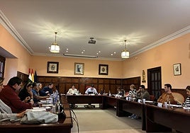 Imagen de archivo del pleno municipal.