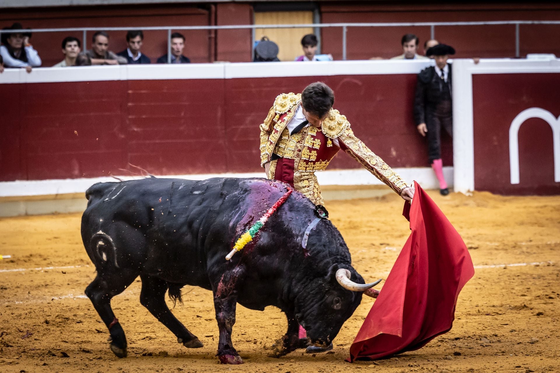 Un domingo de toros mateos