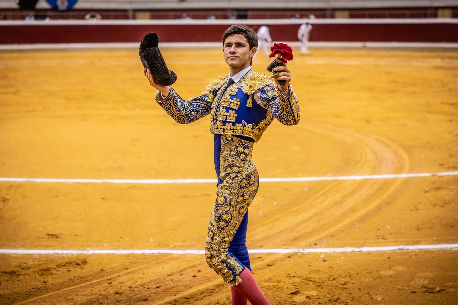 Un domingo de toros mateos