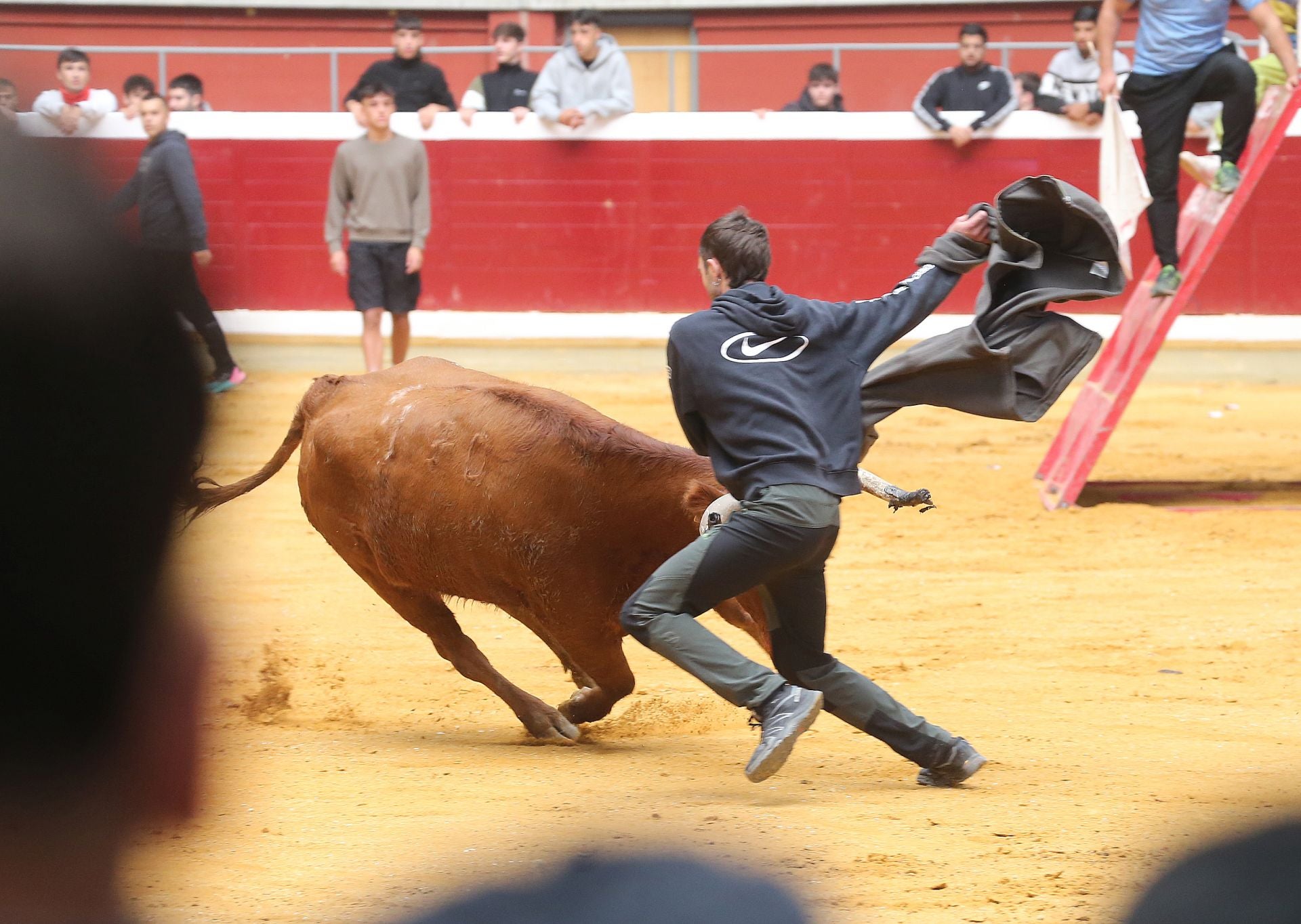 Una mañana de vaquillas en la Ribera
