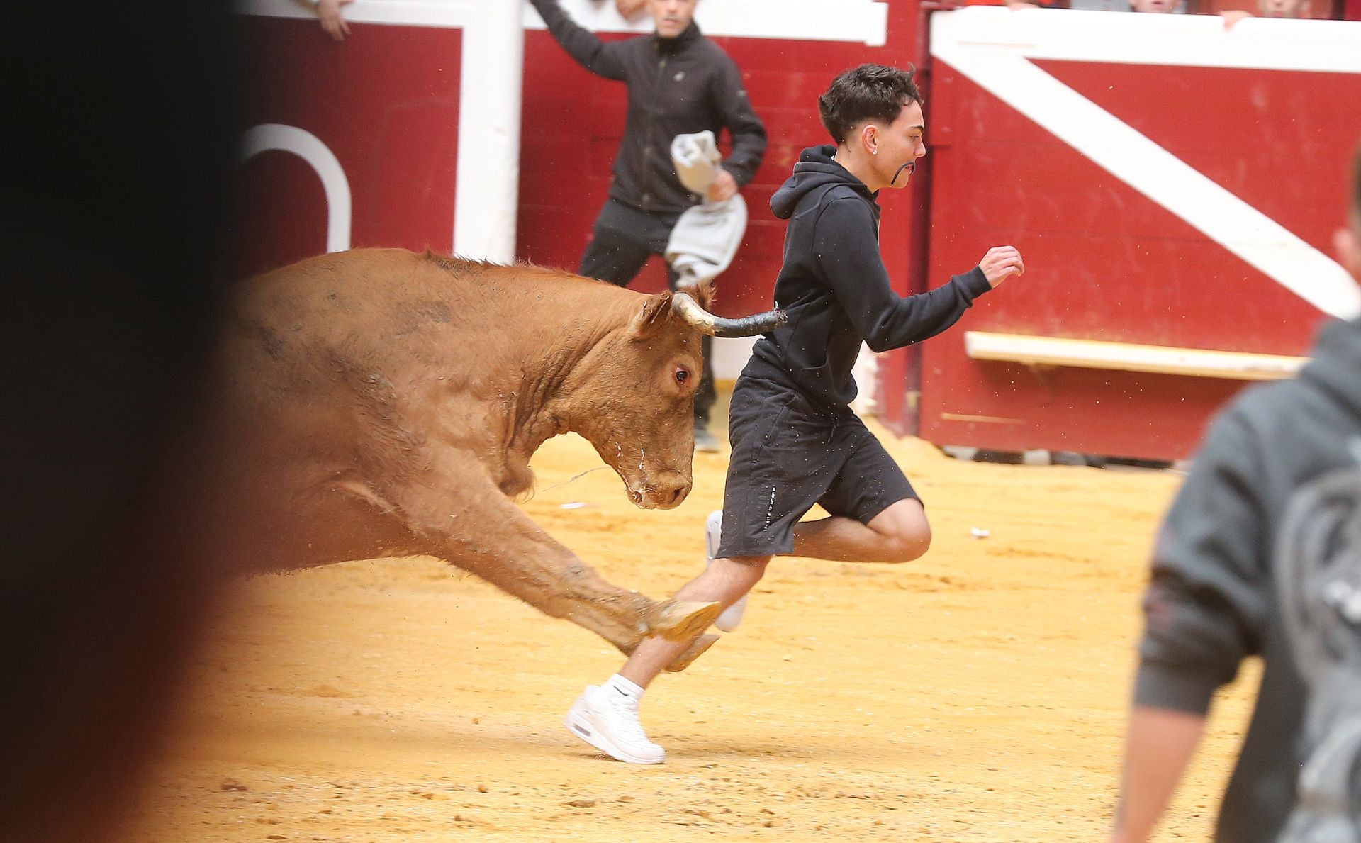 Una mañana de vaquillas en la Ribera