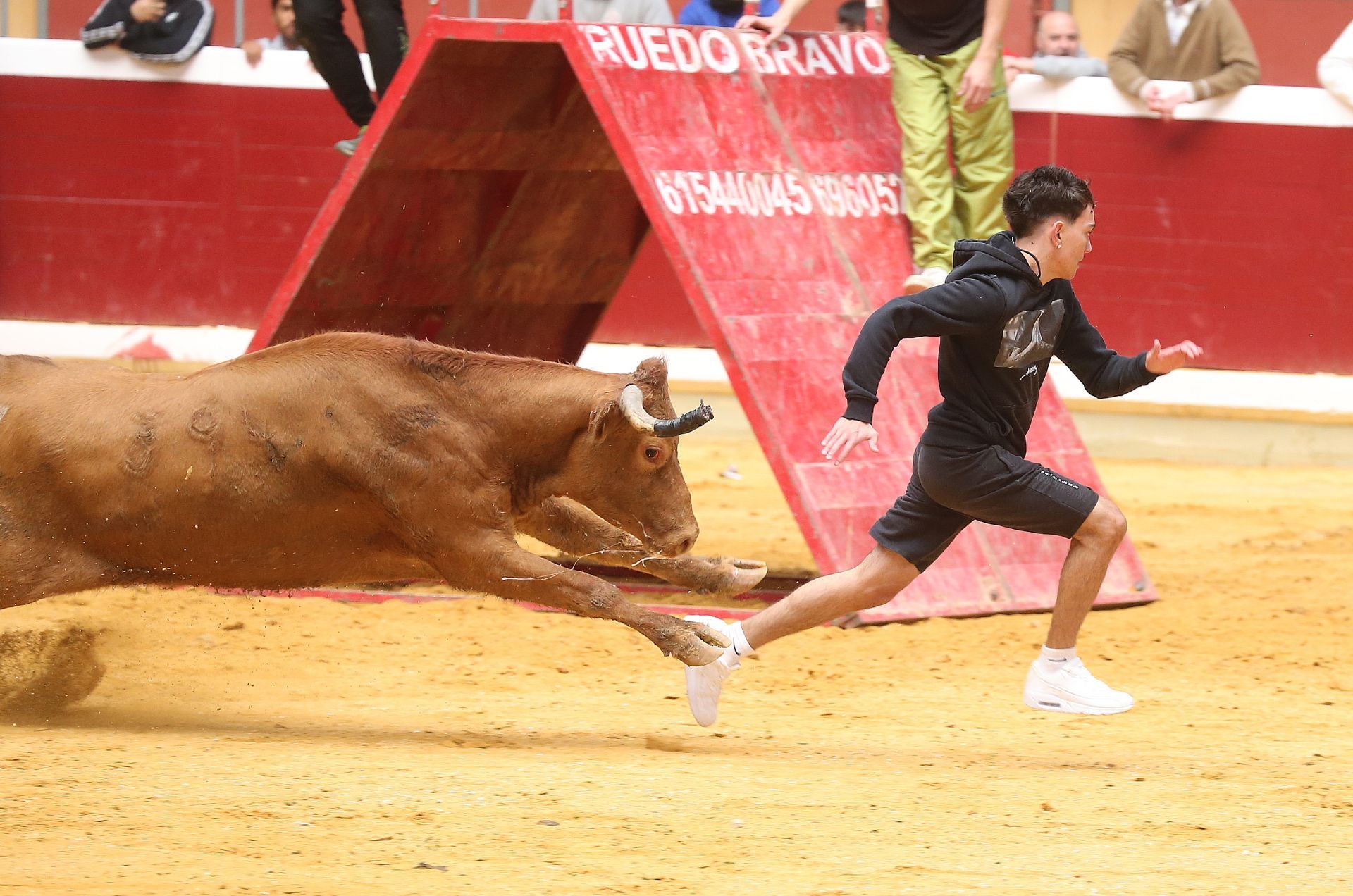 Una mañana de vaquillas en la Ribera