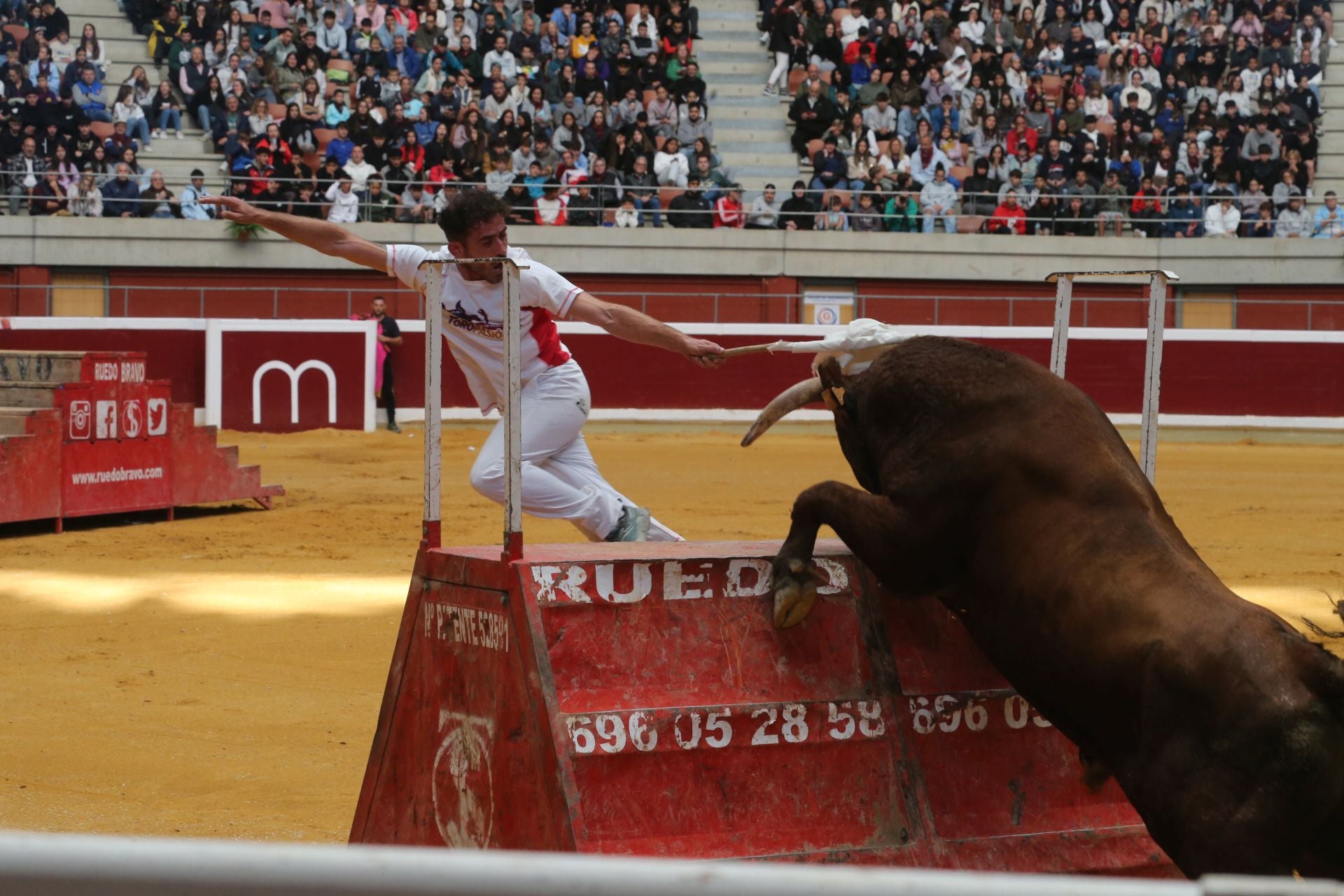 Una mañana de vaquillas en la Ribera