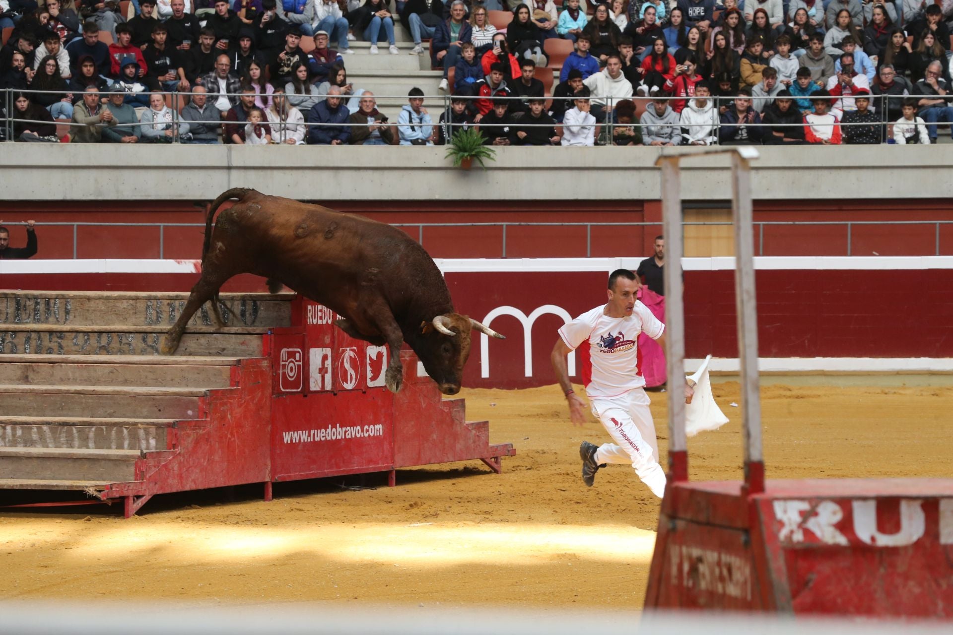 Una mañana de vaquillas en la Ribera