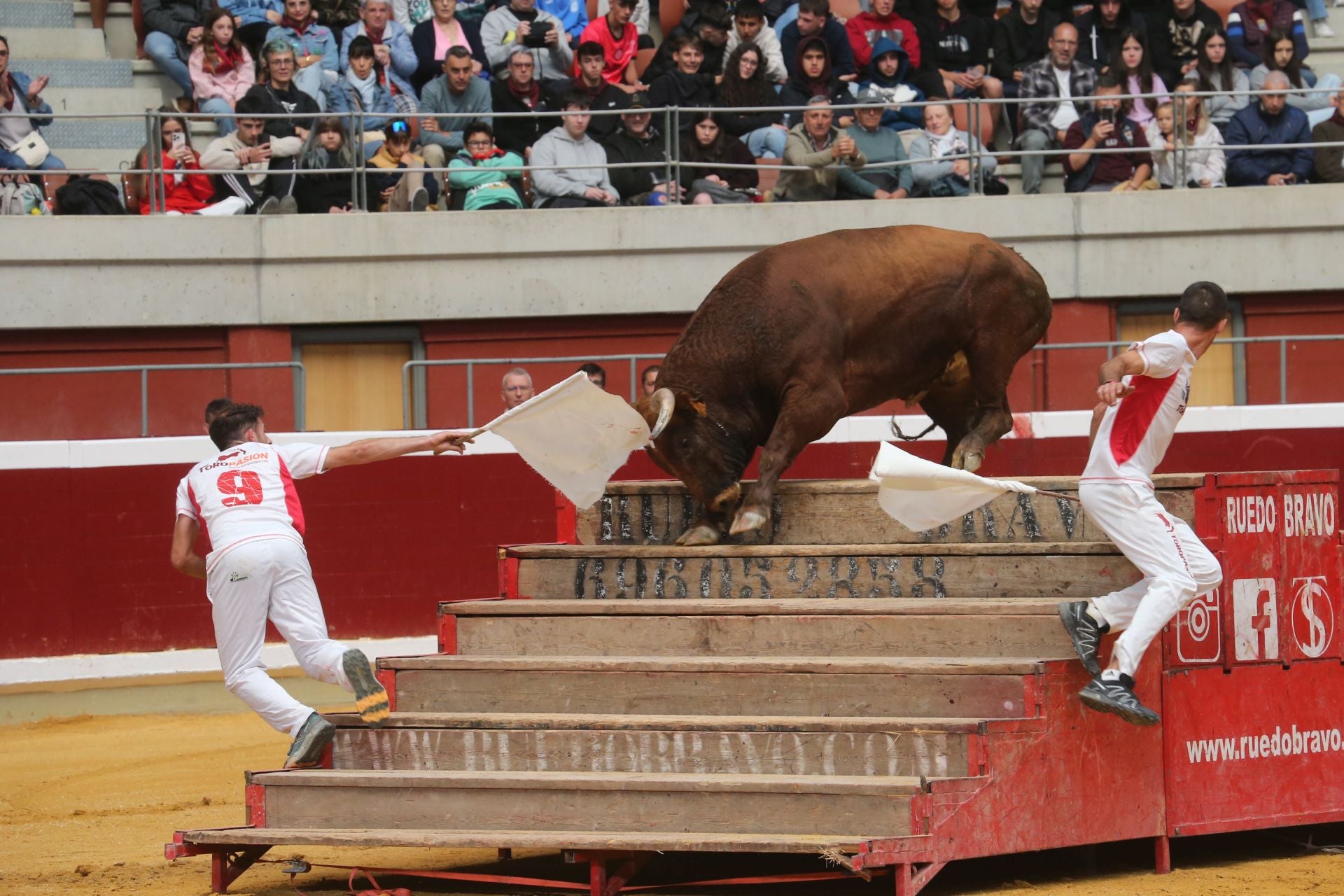 Una mañana de vaquillas en la Ribera