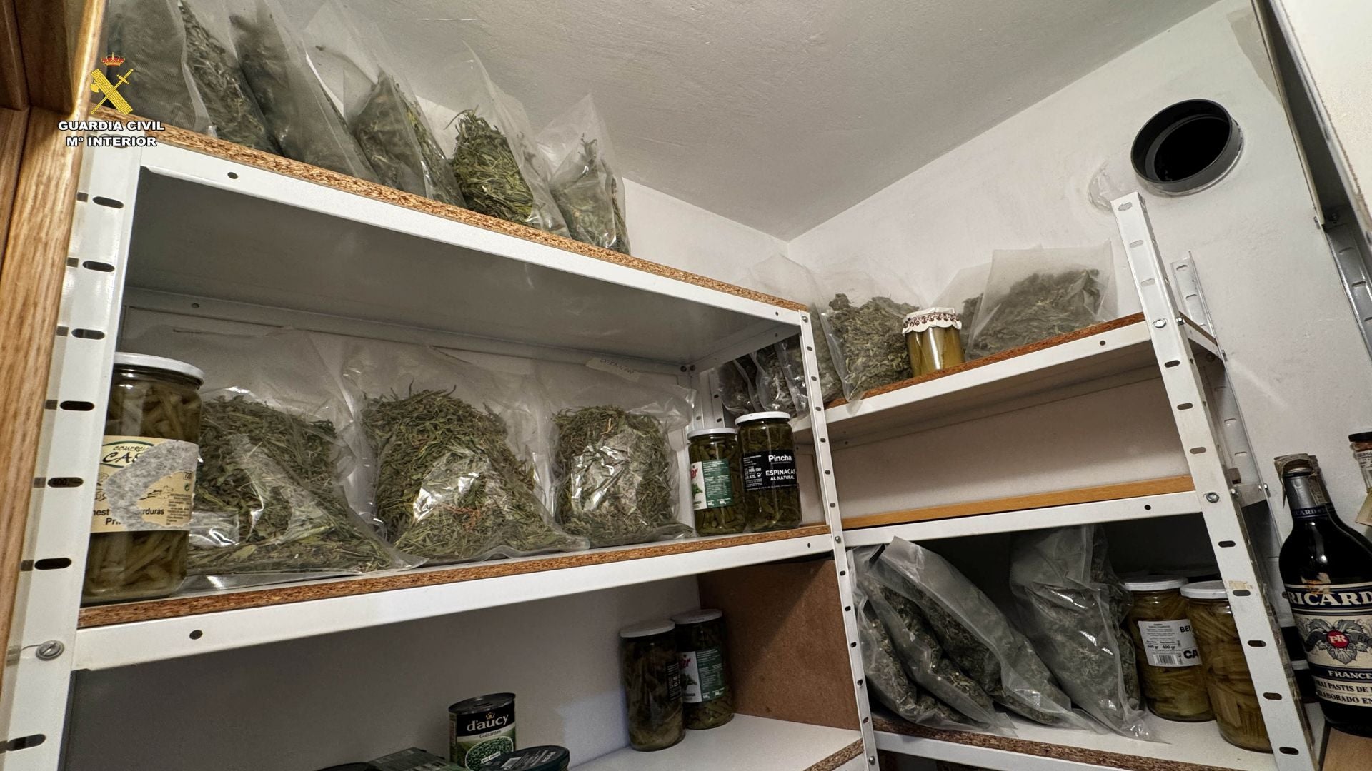 Marihuana lista para San Mateo