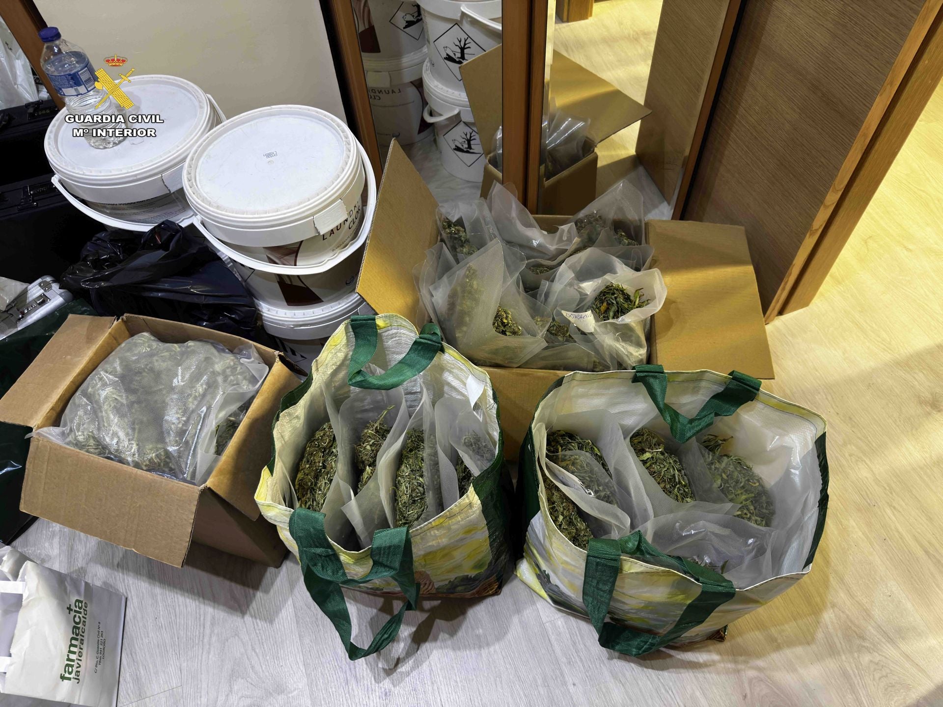 Marihuana lista para San Mateo