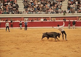 Martes de vaquillas en La Ribera