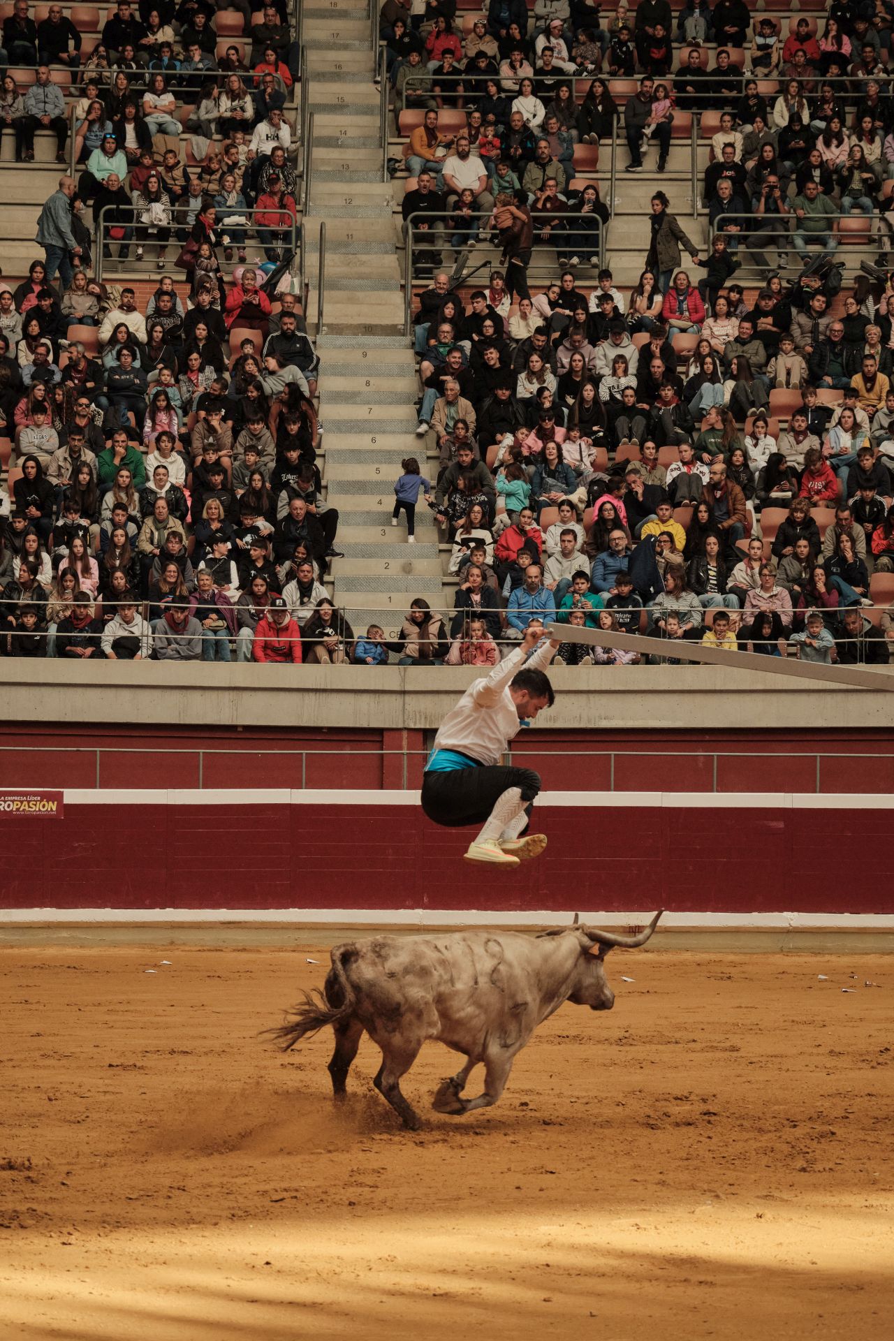 Martes de vaquillas en La Ribera