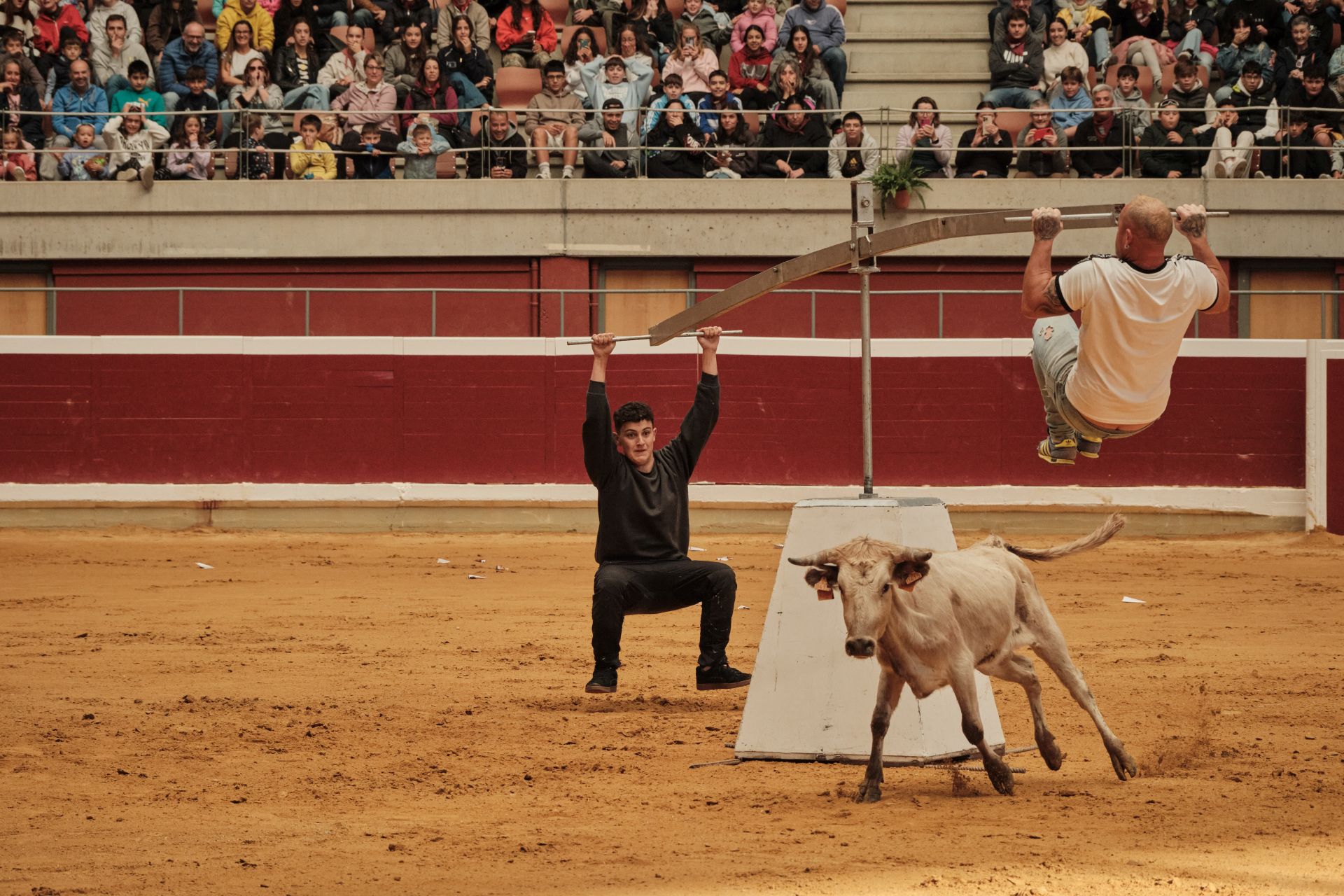 Martes de vaquillas en La Ribera