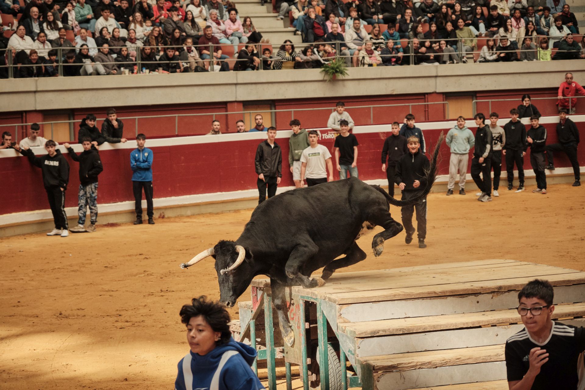 Martes de vaquillas en La Ribera