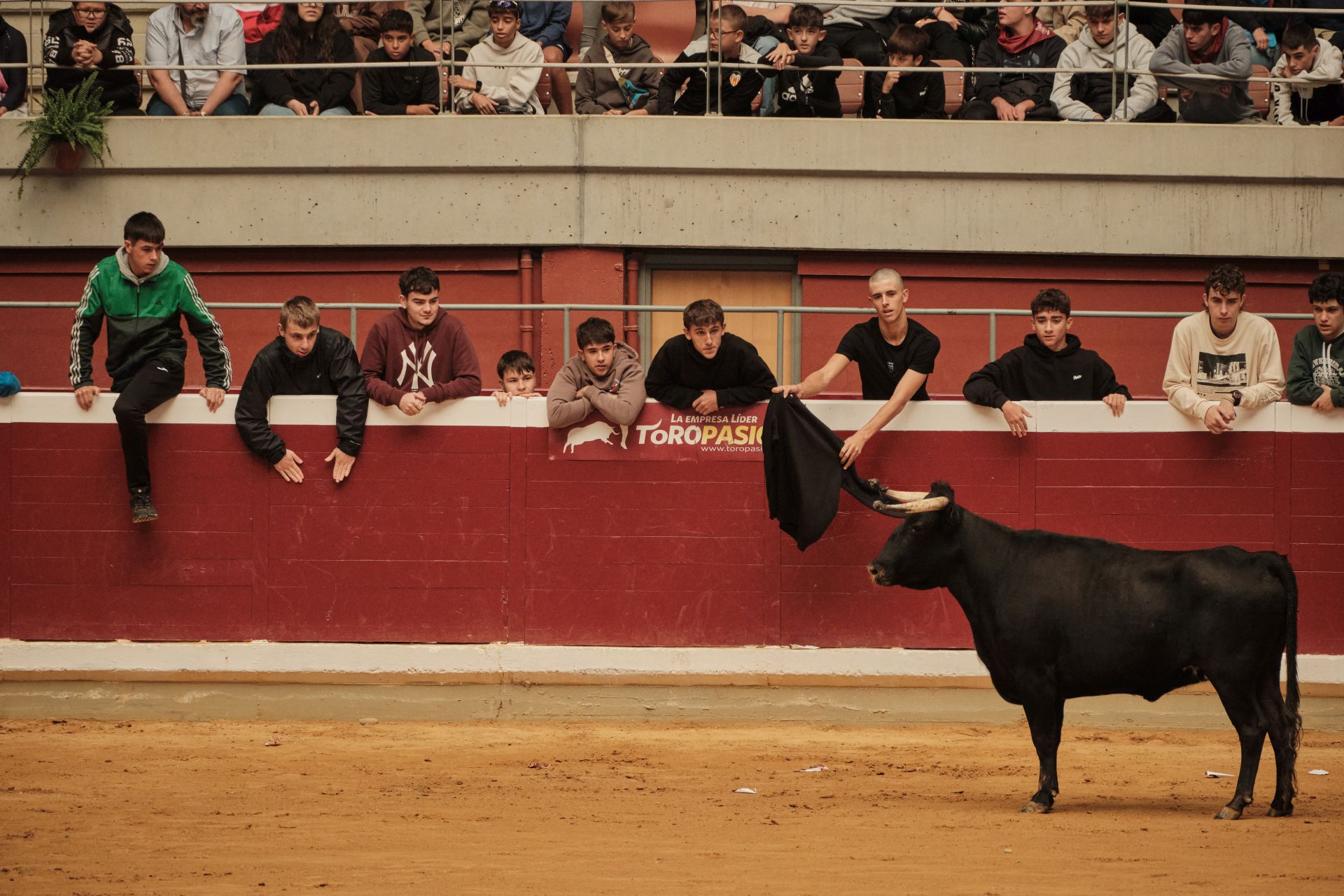Martes de vaquillas en La Ribera