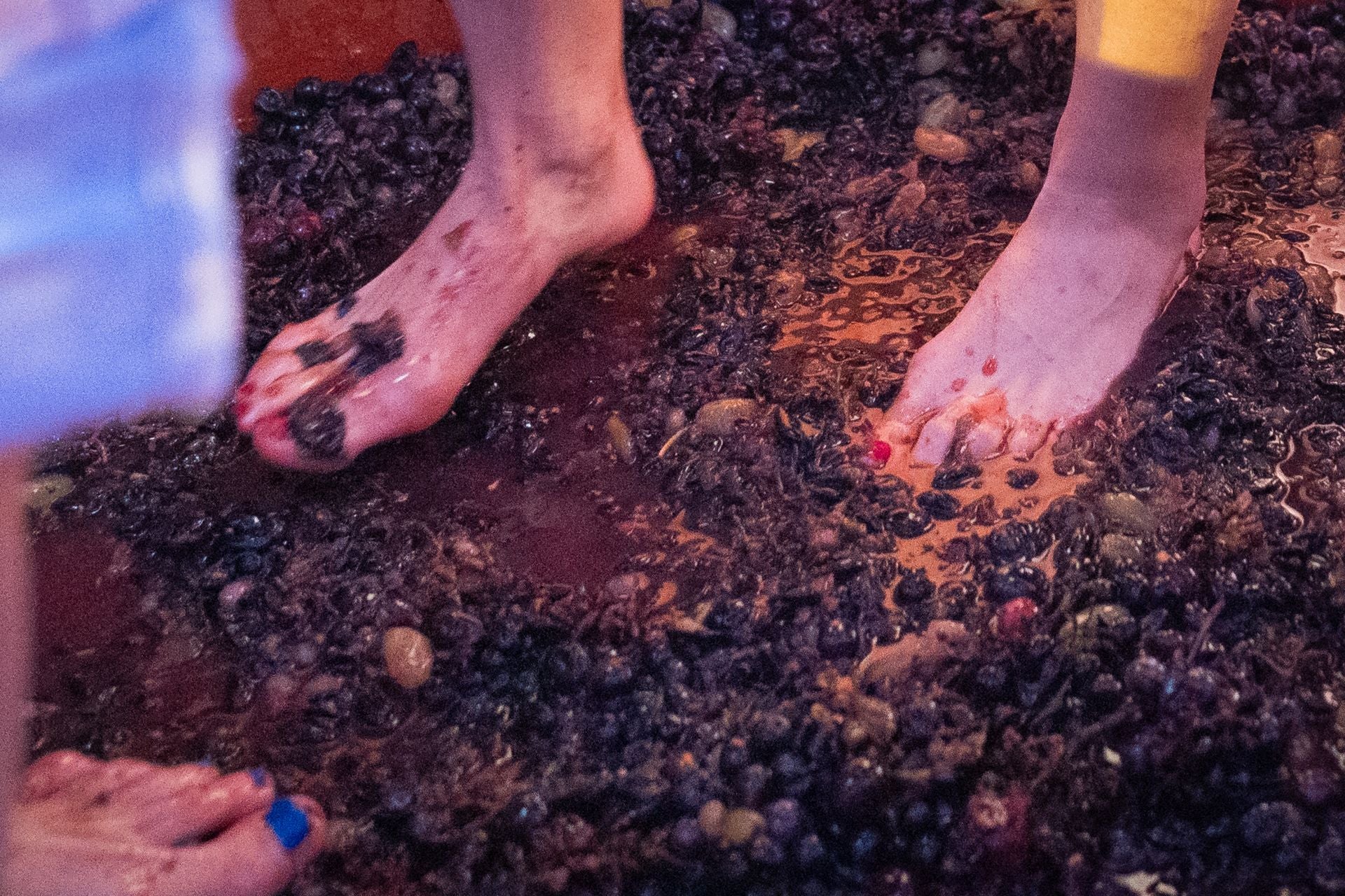 Las imágenes del pisado popular