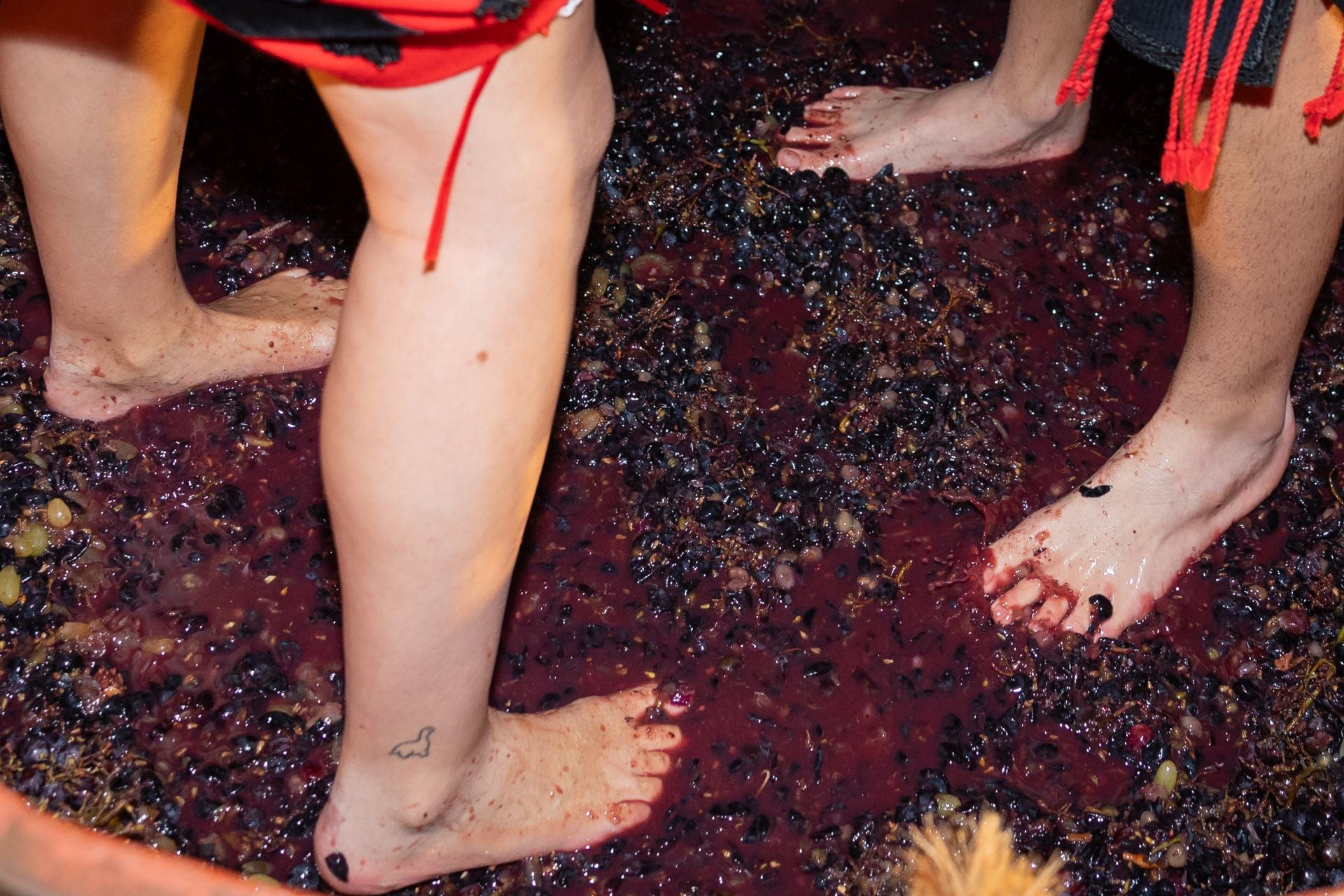 Las imágenes del pisado popular