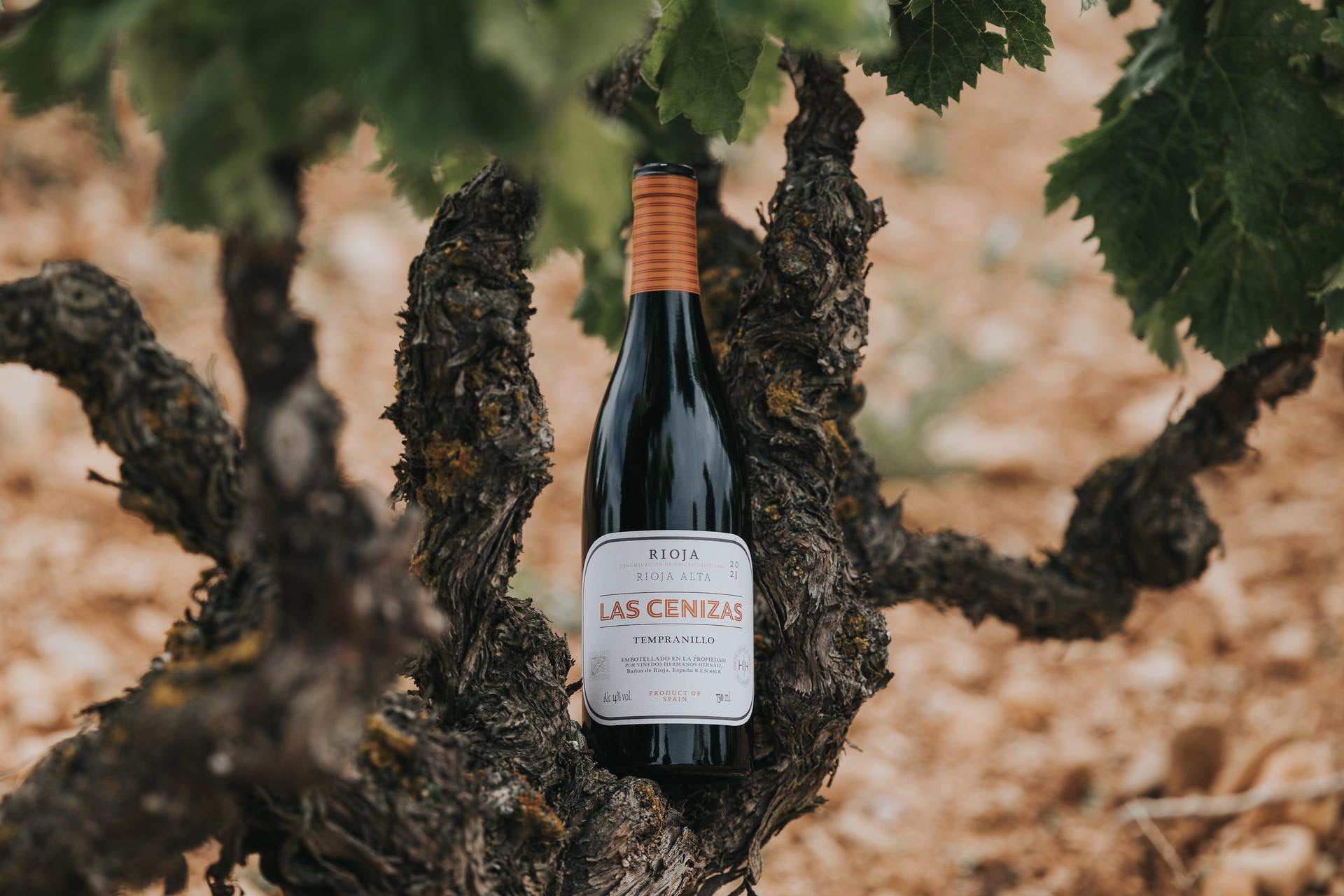 Nueva añada de Las Cenizas, vino de pueblo de Cenicero