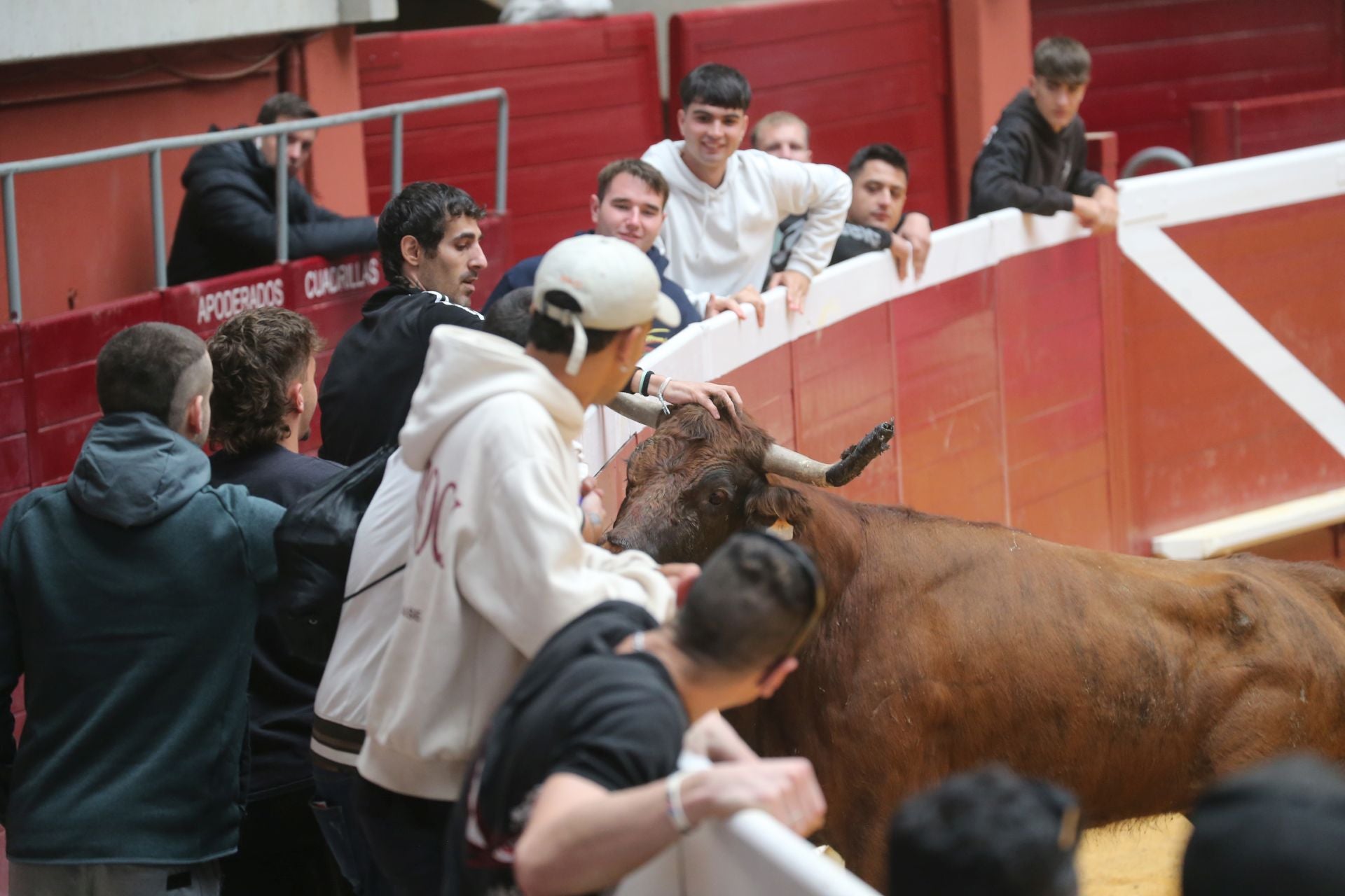 Las vaquillas tampoco defraudan el miércoles